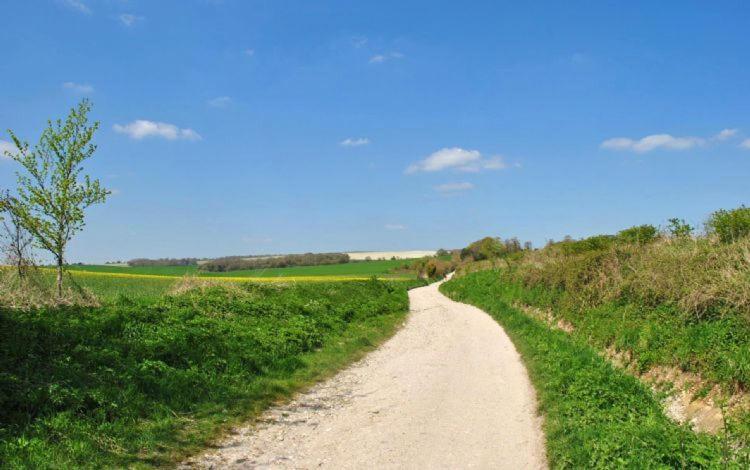 The Run, West Lavant Chichester Buitenkant foto